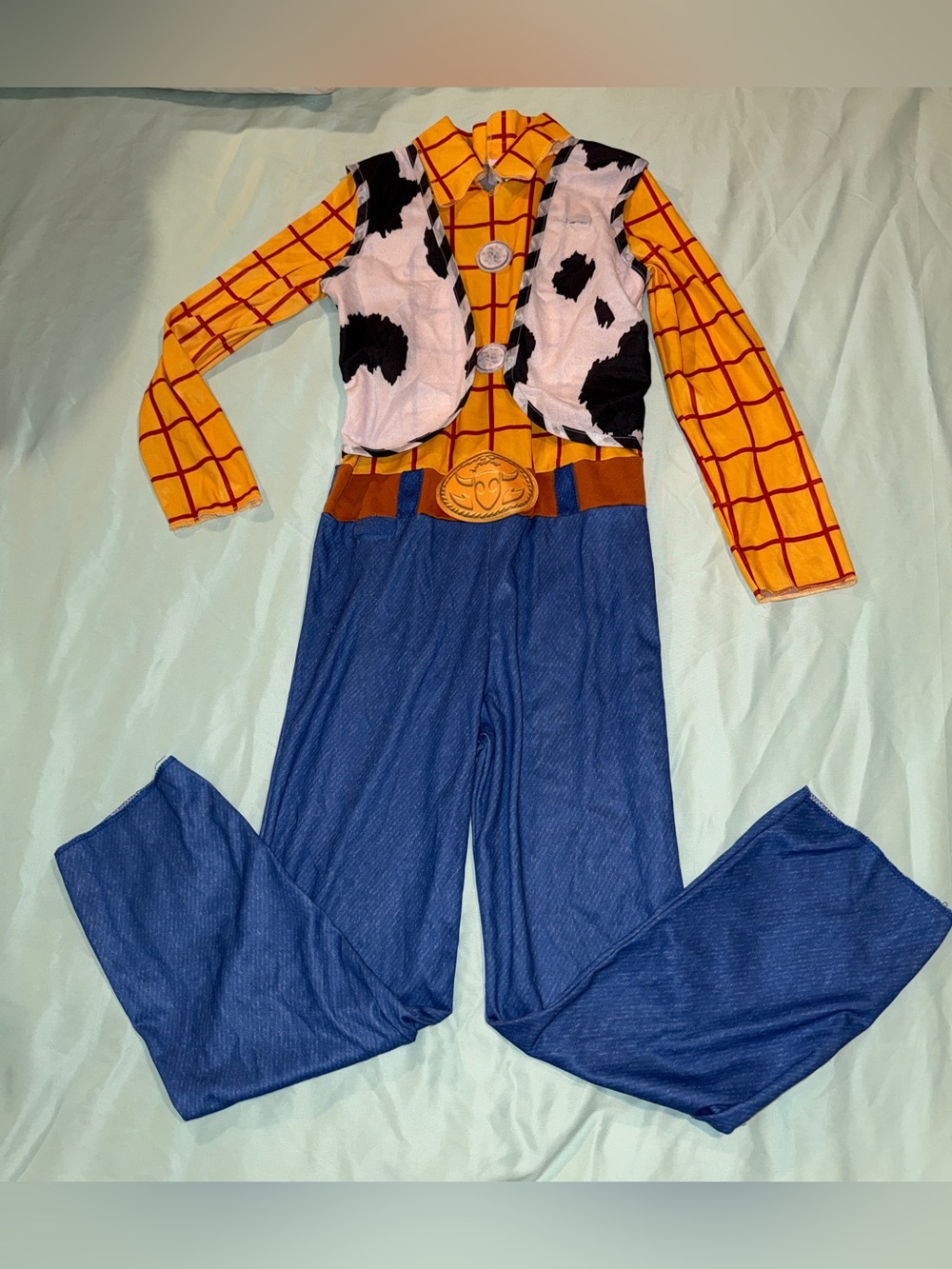 Disney Pixar Boys Woody Toy Story Costume Set with Hat Sz Med (8/10)
VGUC - Picture 2 of 5